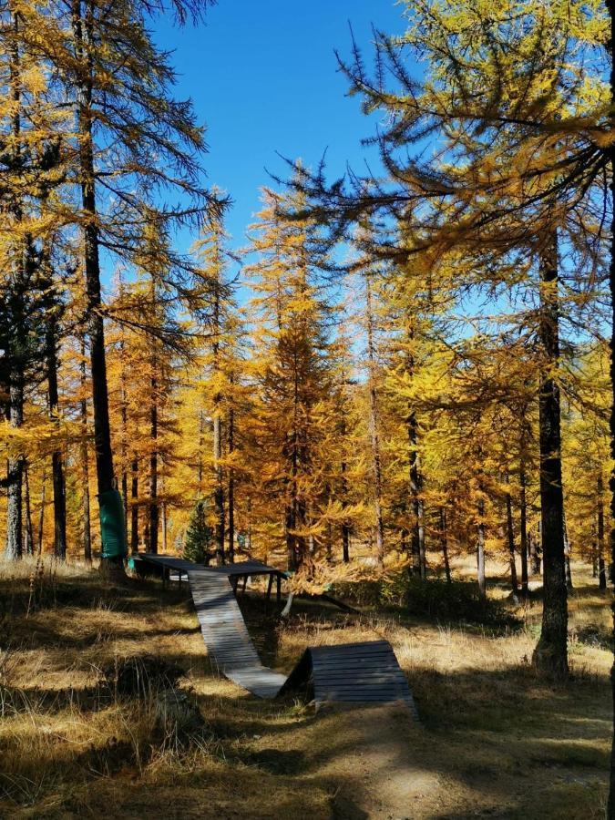 Cosy Mountain _ Free Park Montgenevre
